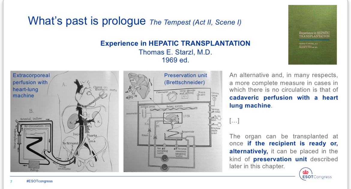 Riccardo De Carlis tweet media