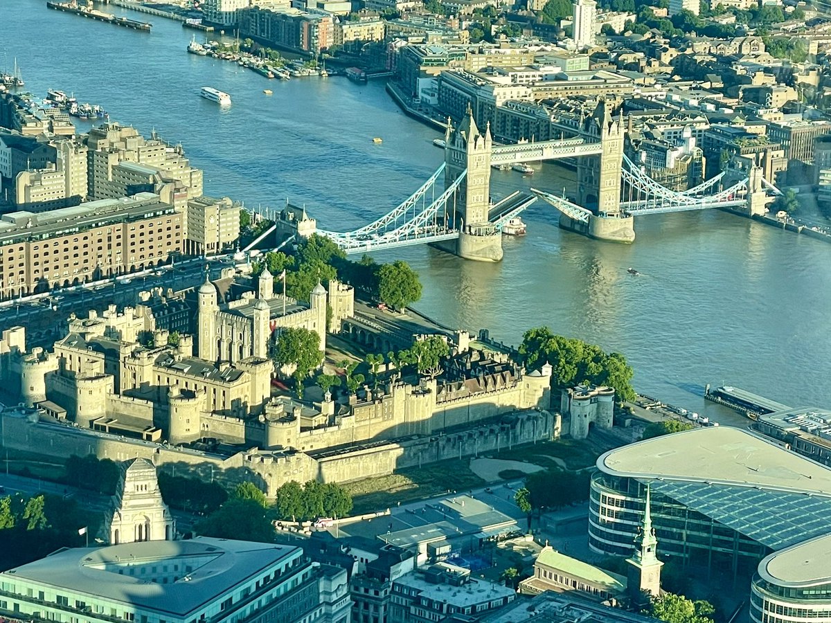 Riccardo De Carlis tweet media