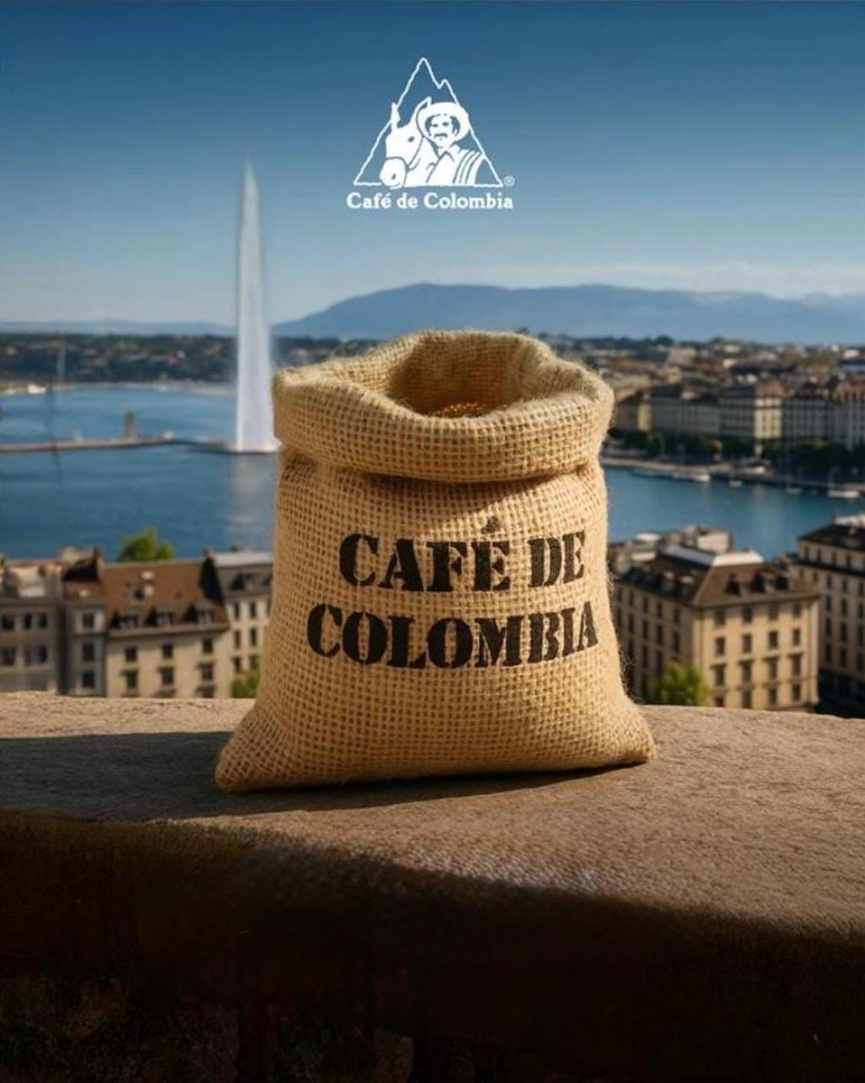 GermanBahamon's tweet image. Café de Colombia: una marca con historia, que sigue haciendo historia.
En 1959, los cafeteros tomaron una decisión visionaria: crear una marca para defender el valor de su café.
Hoy, en la era digital y de la inteligencia artificial, esa marca sigue siendo uno de los activos más…