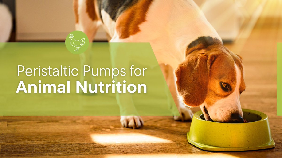 Albin Pump tweet media