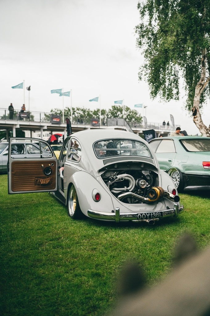 Bug &amp; the snail😀😀 

#vw #aircooled #classiccars #autofinesse