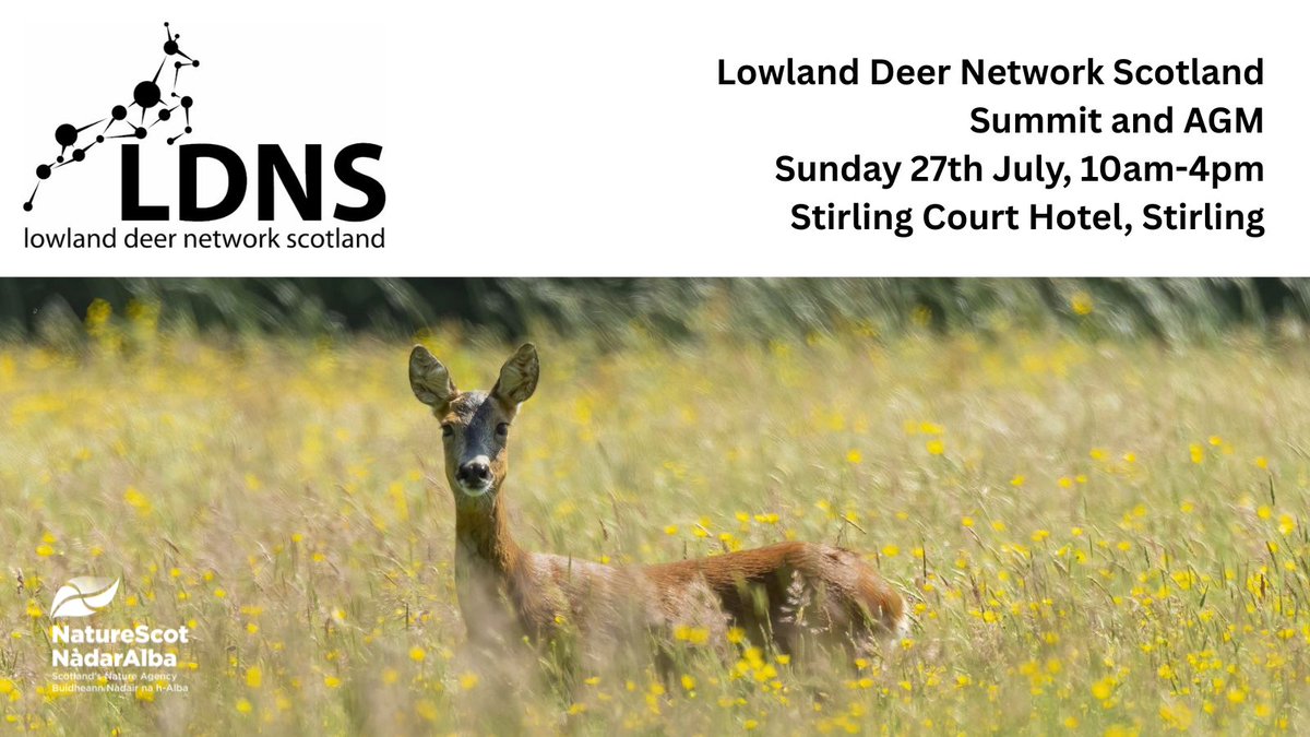NatureScot's tweet image. Manage deer in the lowlands? Don't miss the @LDNScotland Summit & AGM on Sunday July 27. Great opportunity to hear from speakers about incentives, larder infrastructure, drones & more. Register now by emailing kevin.mcculloch@nature.scot
@scotforestry @ForestryLS @transcotland