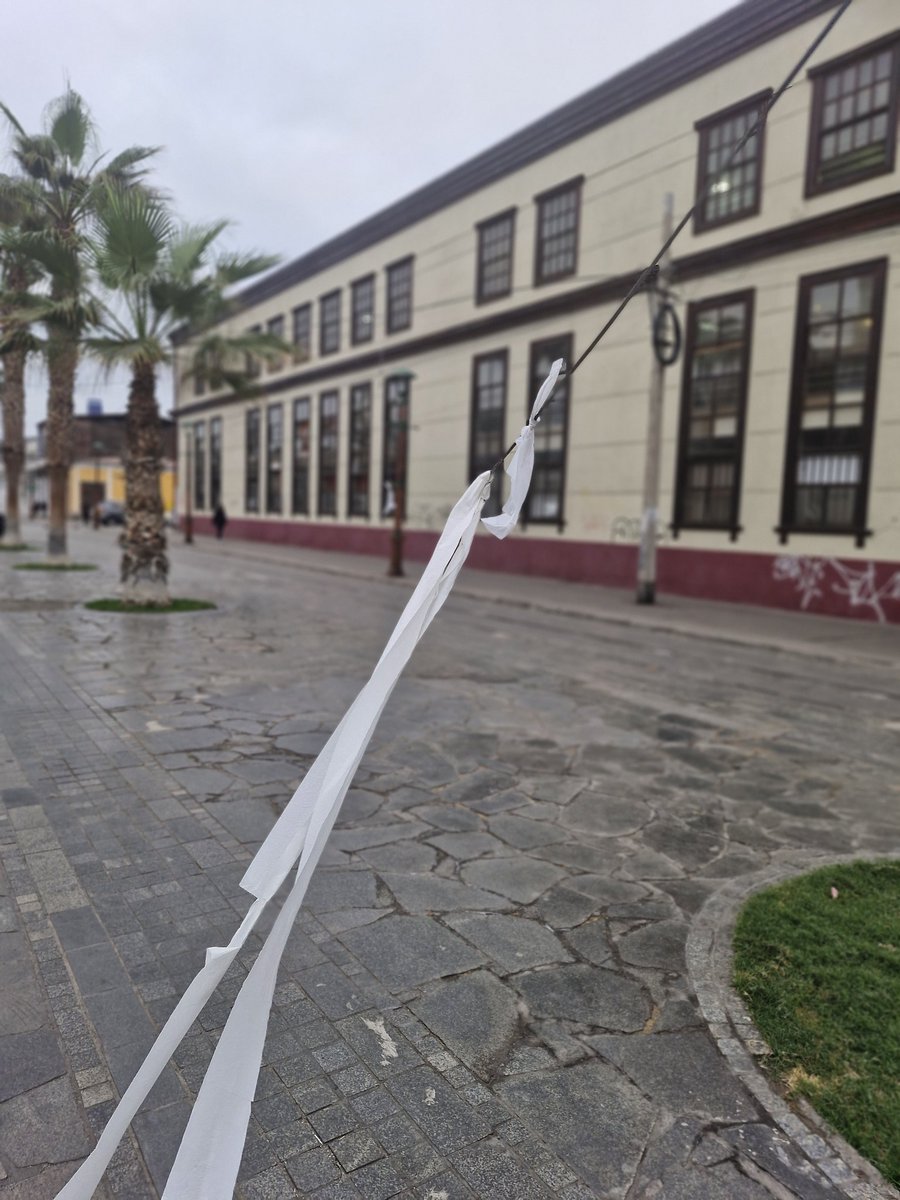 LucyOli89870359's tweet photo. Lo he dicho antes entre iquiqueños nos cuidamos, gracias twitero francisco que ayer aviso que había un cable en Baquedano, gracias a quienes le pusieron papel @IquiqueDeTodos esto es peligroso esta frente a un colegio en #Iquique https://t.co/ceOOJAfdWX
