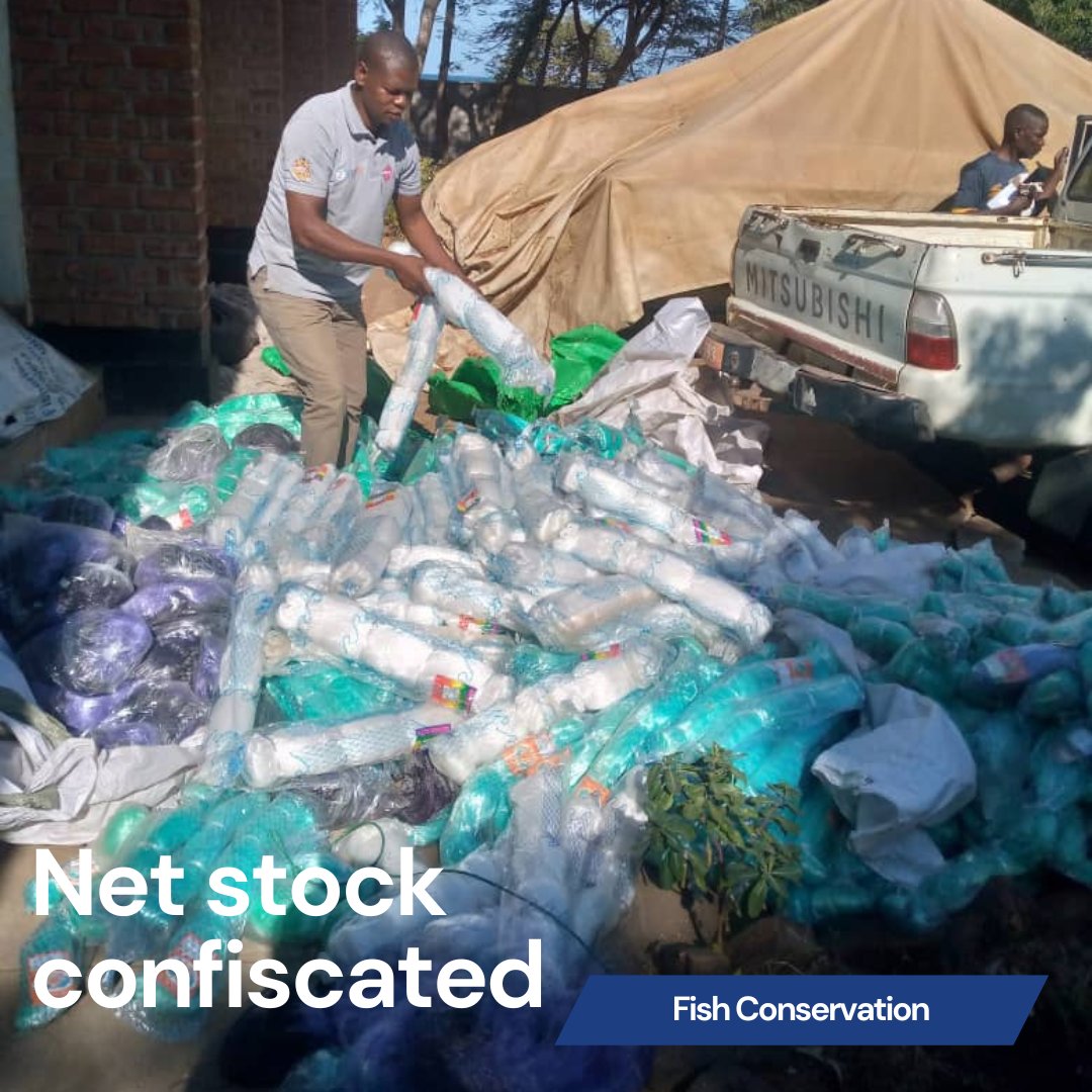 More positive news with regards the confiscation of illegal fishing nets. In Salima a staggering 1,769 brand new illegal monofilament nets were confiscated from #fishing supply shops. Well done to everyone involved in the Fish for Tomorrow #conservation project.

#Malawi #Africa