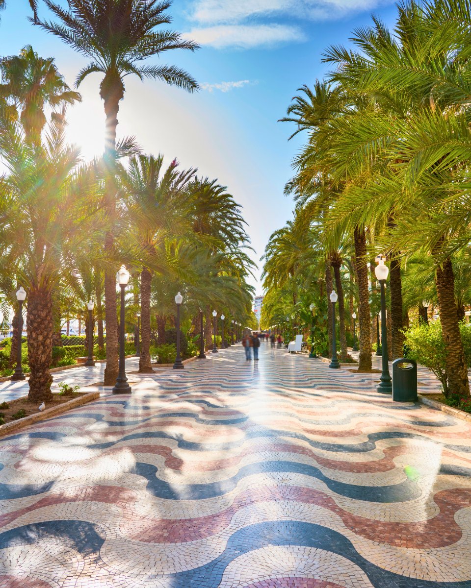 Alicante_City's tweet photo. 📍 Alicante is one of the top 10 most desired destinations this July ☀️
Yes, above Barcelona and Ibiza!
Sun, sea breeze, local rice dishes… Alicante has it all.
So, when are you coming?
#Alicante #AlicanteCity #AlicanteTurismo https://t.co/CC67ufzdeP