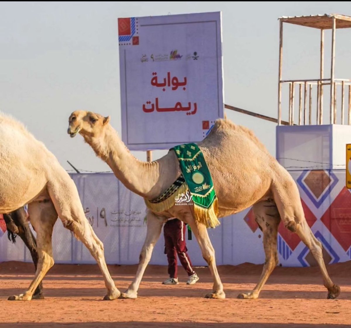 مصعب الخنفري (@musabqht) on Twitter photo " كنّها تقول لحدٍ ينطق اجابه
انا من فوقكم سُلطة سماويه
فردي الشقح جاته وقفلت بابه
والله انّه لها ما دامها حيّه "
الأهمّ ( من تلاد ابلنا ماهيب مشريّه )
#الموت_الحمر فردّية المغاتير التاريخيه
<a href="/Bnjkdb/">محمد بن فهاد بن جخدب</a> <a href="/bn_jkdb/">فهد بن فهاد بن جخدب</a> " كنّها تقول لحدٍ ينطق اجابه
انا من فوقكم سُلطة سماويه
فردي الشقح جاته وقفلت بابه
والله انّه لها ما دامها حيّه "
الأهمّ ( من تلاد ابلنا ماهيب مشريّه )
#الموت_الحمر فردّية المغاتير التاريخيه
<a href="/Bnjkdb/">محمد بن فهاد بن جخدب</a> <a href="/bn_jkdb/">فهد بن فهاد بن جخدب</a>