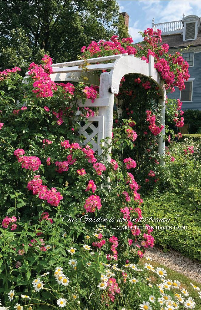 Moffatt_Ladd's tweet photo. Here's a sneak peek of a new arrival in the Counting House gift shop! 🌿📖 Pick up our Garden History Brochure, a photo-packed guide that traces how each family shaped the Moffatt-Ladd gardens and spotlights every plant now in bloom. Just $3! 

#MoffattLaddHouse #GardenHistory https://t.co/zoDCien4Wl
