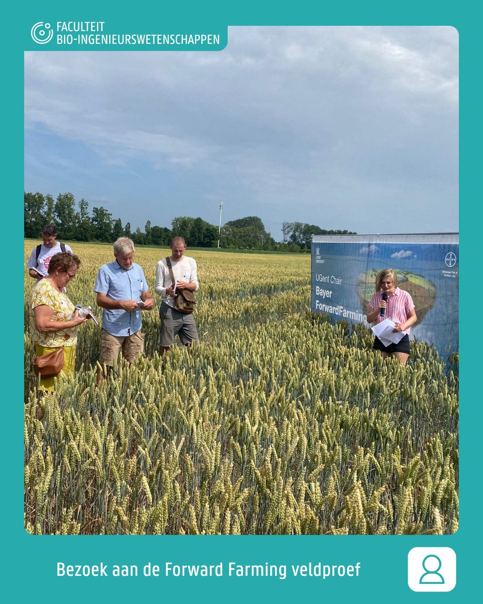 FbwUGent's tweet image. Veldbezoek aan @Bayer ForwardFarming in Bottelare 🌾
Daar werken onderzoekers en landbouwers samen aan geïntegreerde gewasbescherming in granen.
Met rassenmengsels, drones en slimme sensoren zetten ze in op duurzame, doordachte teeltstrategieën. 🌱
#ForwardFarming #IPM
