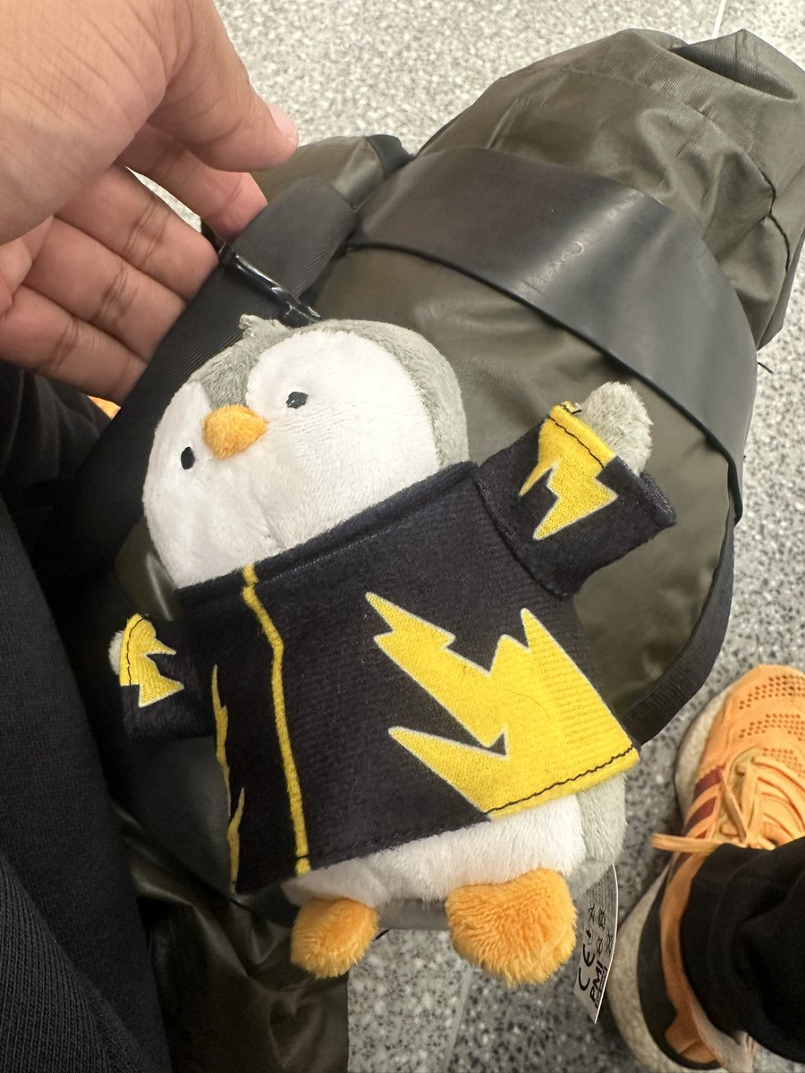 The only thing your bag needs is $PENGU