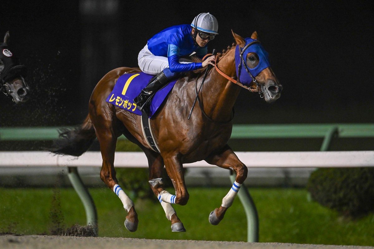 帝王賞の中継を見ていたら何度も名前が出てきたので、彼らとの思い出を