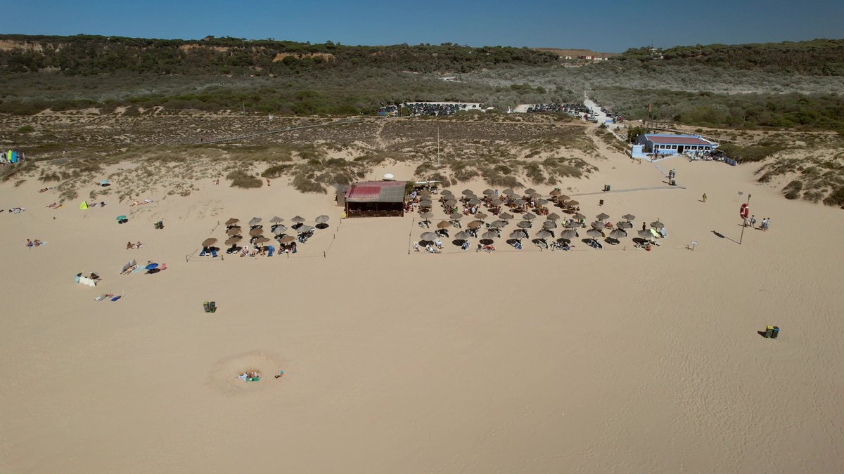 ÚLTIMA HORA: Desaparecimento na Praia 19.
dezanove.pt/homem-desapare…
🚨 Se tens mais informações contacta as autoridades competentes⚠️