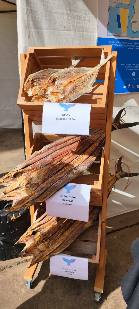 WCS_Mada's tweet image. ππ Halieutic Products Fair 2025
Discover our salted fish from Ankivonjy & Ankarea MPAs β local know-how, traditional methods & sustainable fishing
Every purchase supports ocean conservation