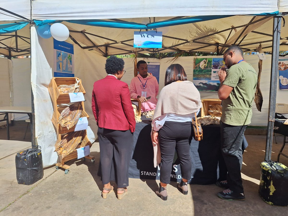 WCS_Mada's tweet image. ππ Halieutic Products Fair 2025
Discover our salted fish from Ankivonjy & Ankarea MPAs β local know-how, traditional methods & sustainable fishing
Every purchase supports ocean conservation