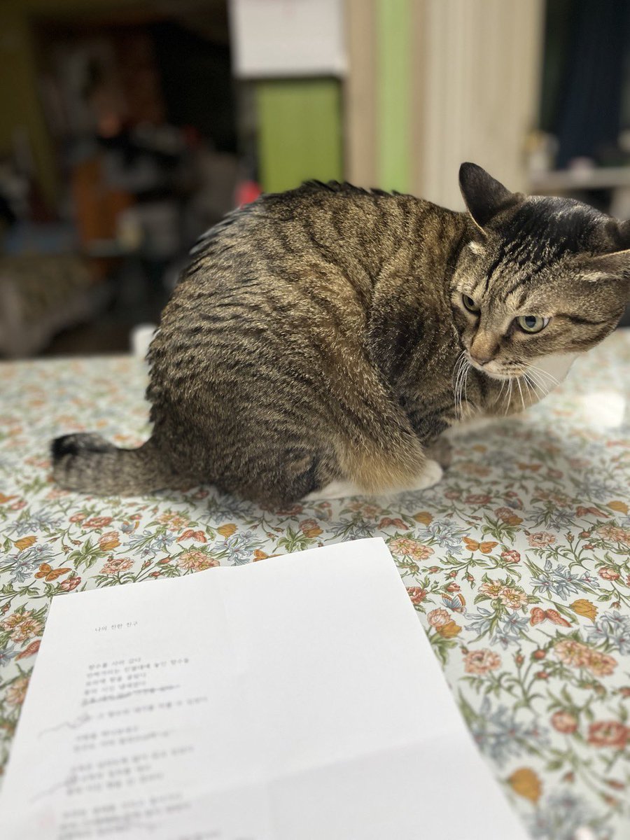 박시하 (@lrumr) on Twitter photo 