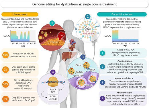 drpablocorral's tweet image. ☝️A paradigm shift in cardiovascular prevention!
👉The latest European Heart Journal State-of-the-Art Review explores the transformative role of gene therapy and genome editing in managing lipoprotein disorders.
👉From PCSK9 base editing to Lp(a) siRNA silencing, the future may…