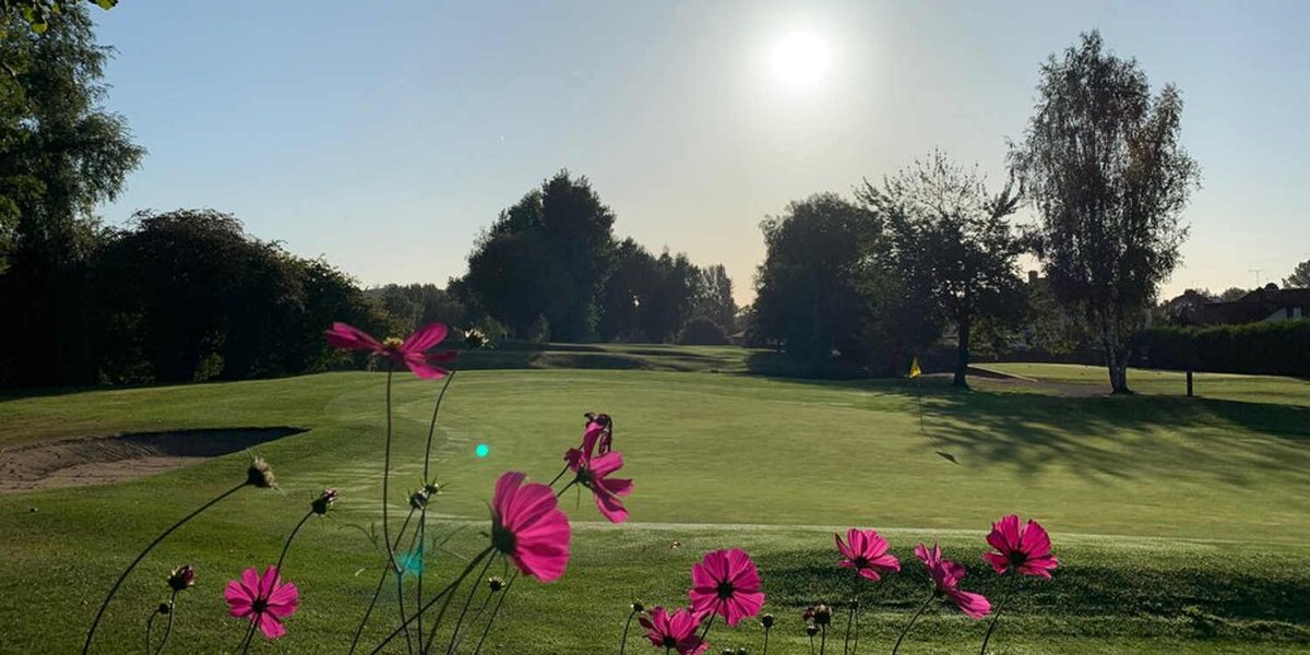 Cornwall Golf tweet media