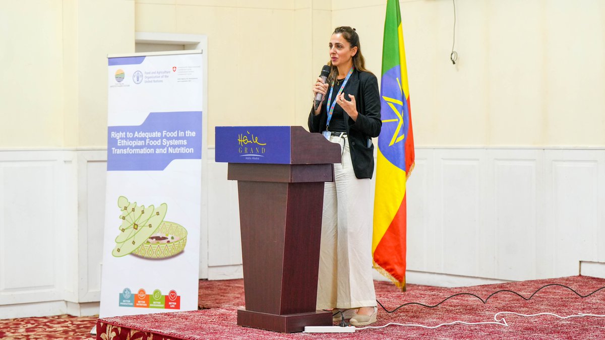 FAOEthiopia's tweet image. The #RightToFood is a game changer for transforming food systems! @FAO & @MoA_Ethiopia, along with stakeholders from academia, NGOs & Dev. partners, held a successful discussion focusing on ensuring the right to adequate food in Ethiopia's food systems & nutrition.
@FAOSocioEcon
