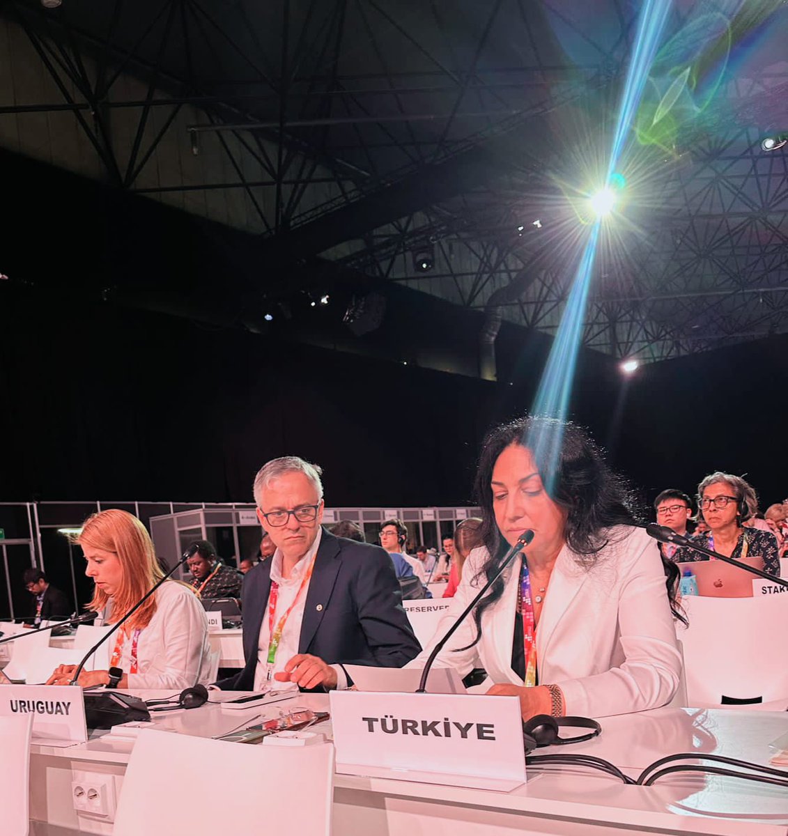 Sevilla’da düzenlenmekte olan IV. Uluslararası Kalkınmanın Finansmanı Konferansı (#FFD4) kapsamında “Çok taraflı ticaret sisteminin desteklenmesi ile bilim, teknoloji ve yenilikçilik potansiyelinden yararlanılması” başlıklı çokpaydaşlı yuvarlak masa toplantısına katıldık.