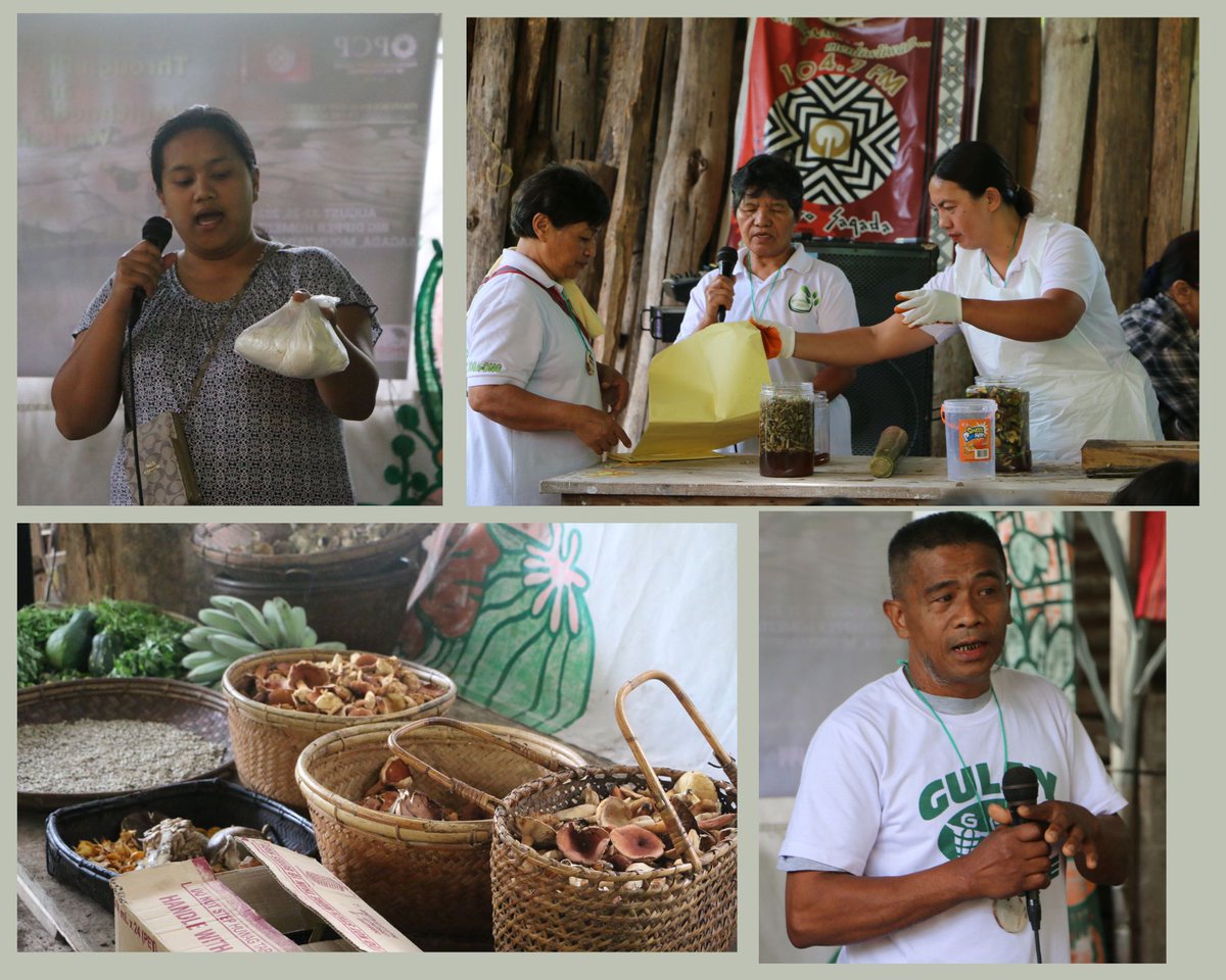 READ: Cultivating Community –Gulay Pa More Fiesta at the Kumbasa Noodle House, Sagada
cdpckordilyera.org/cultivating-co…
#Gulaypamore