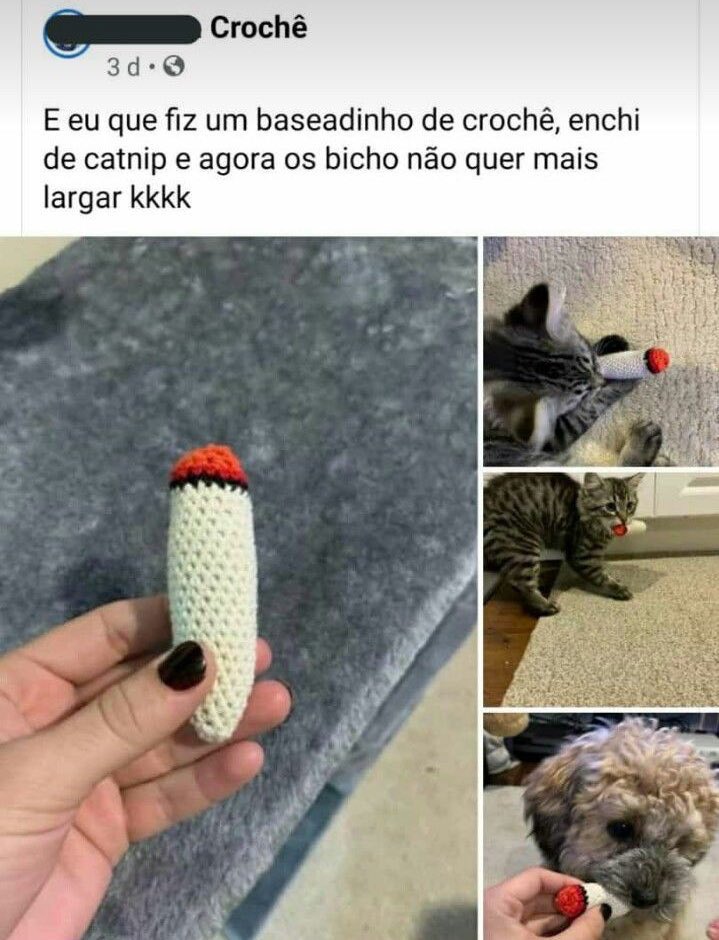 PuroSucoDoBr's tweet photo. https://t.co/cn7LRqy9nv