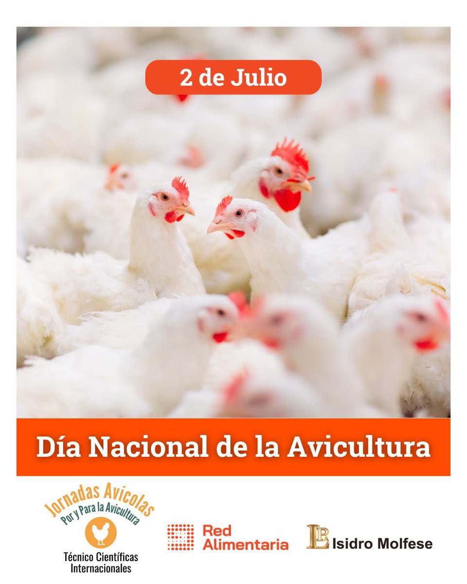 Redalimentaria's tweet photo. 📣 En el #DíaDeLaAvicultura saludamos a todos los protagonistas de la cadena avícola 🐣🐥
Brindamos por el desarrollo de una de las actividades más dinámicas y estratégicas del país 🇦🇷
#IndustriaAvícola #RedAlimentaria #JornadasAvícolas #IsidroMolfese https://t.co/bP7Bu0yR69