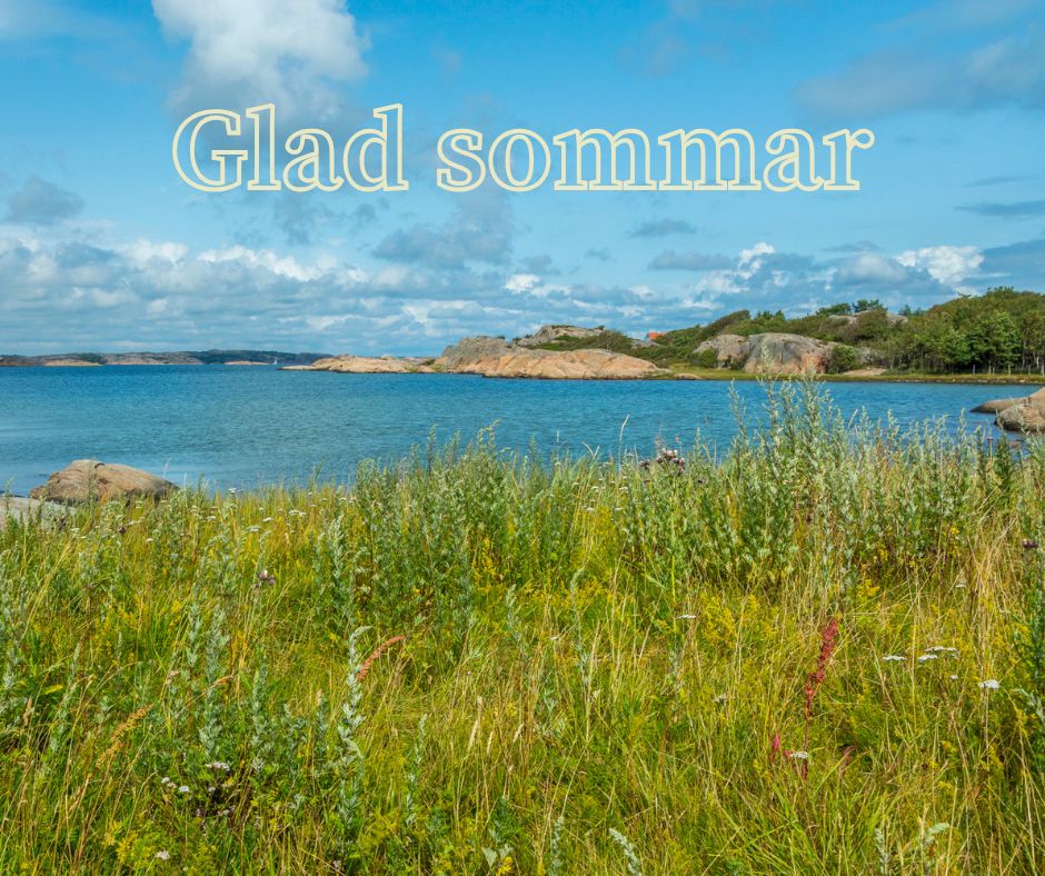 Glad sommar från Wikimedia Sverige! 🌞

Semesterveckorna har dragit igång och därför kan det ta lite längre tid att få svar om du hör av dig till oss via mejl eller telefon. Tack för ert överseende med detta, och trevlig sommar!

Foto: LeffeJ, CC BY-SA 4.0, via Wikimedia Commons.