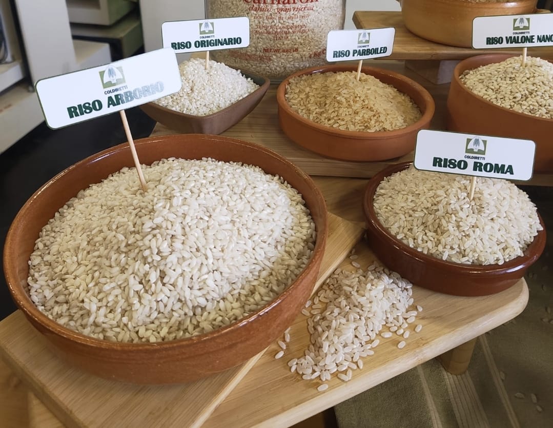 Il Punto Coldiretti tweet media