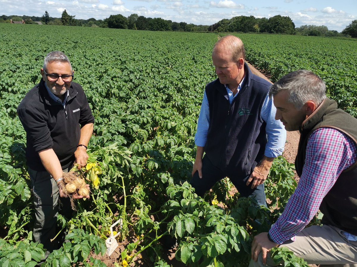 PhilipCaseFW's tweet image. Potato agronomist John Sarup explains concept of foliar N applications to judges in @FW_Awards #Arable Adviser category #FWAwards 2025 #shortlisted