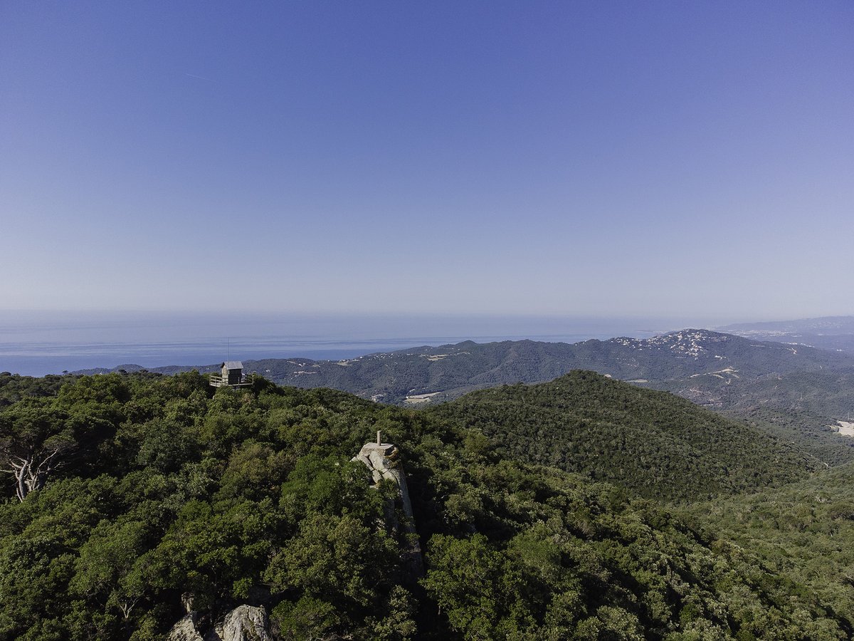 ⛰  Busques una excursió per fer aquest cap de setmana? Avui et proposem la ruta fins al Puig de les Cadiretes (#Llagostera). Es tracta d’una ruta apta per a tota la família! 😉

👣 3,77 km
📈 63m de desnivell
🗺 turismegirones.cat/activitat/el-p…

#turismegirones