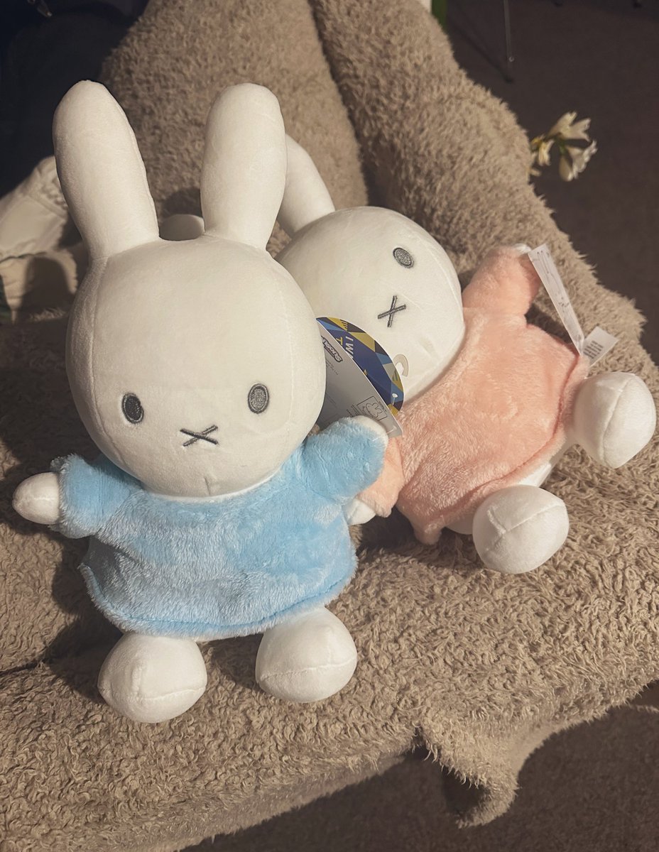 Husband knew I’d be sad if I didn’t get one from the arcade.. he got me two 🤣