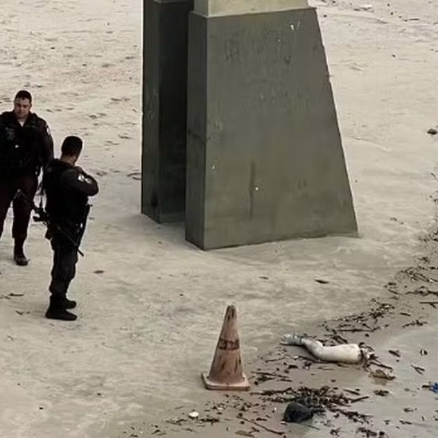 choquei's tweet photo. 🚨BRASIL: Uma perna humana foi encontrada boiando na Praia de Boa Viagem, em Niterói (RJ). https://t.co/uGVQdtH864