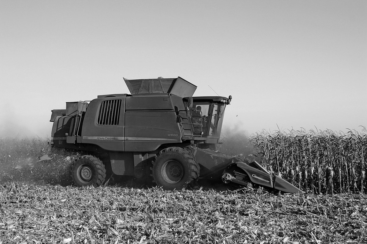 During the German Foreign Minister's visit to Odesa yesterday, he announced that Germany would provide an additional €3 million for the “Food from Ukraine for Syria” initiative. This not only supports the food supply in Syria, but also the Ukrainian economy.