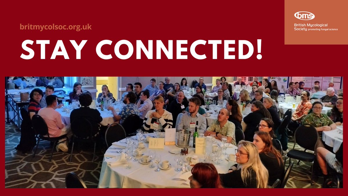 BritMycolSoc's tweet image. It’s the end of this year’s Annual Scientific Meeting #BMS2025! Thanks to everyone who took part. Stay connected: join the BMS to get grants, discounted journals & more: britmycolsoc.org.uk/membership-com…