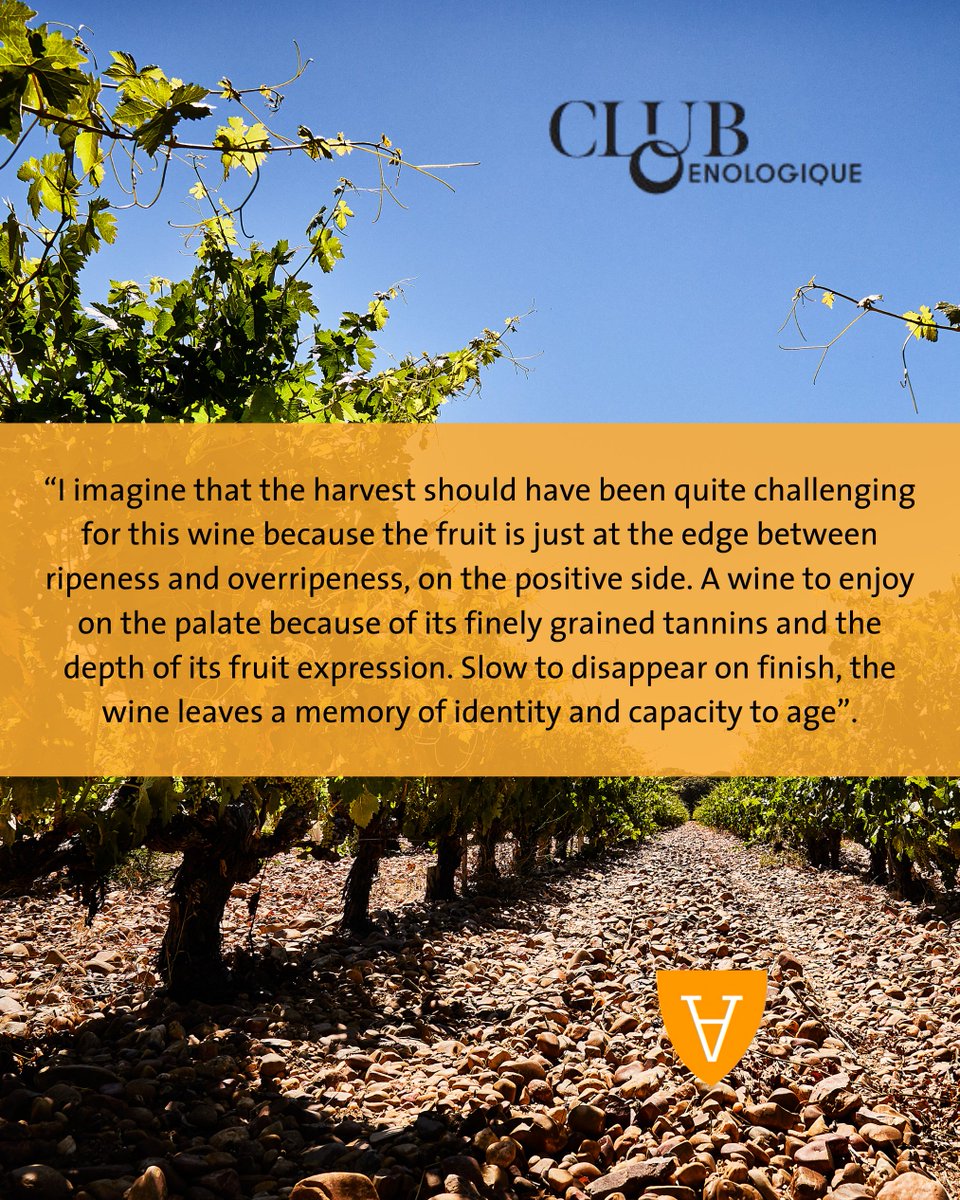 ByV_VALDERIZ tweet media