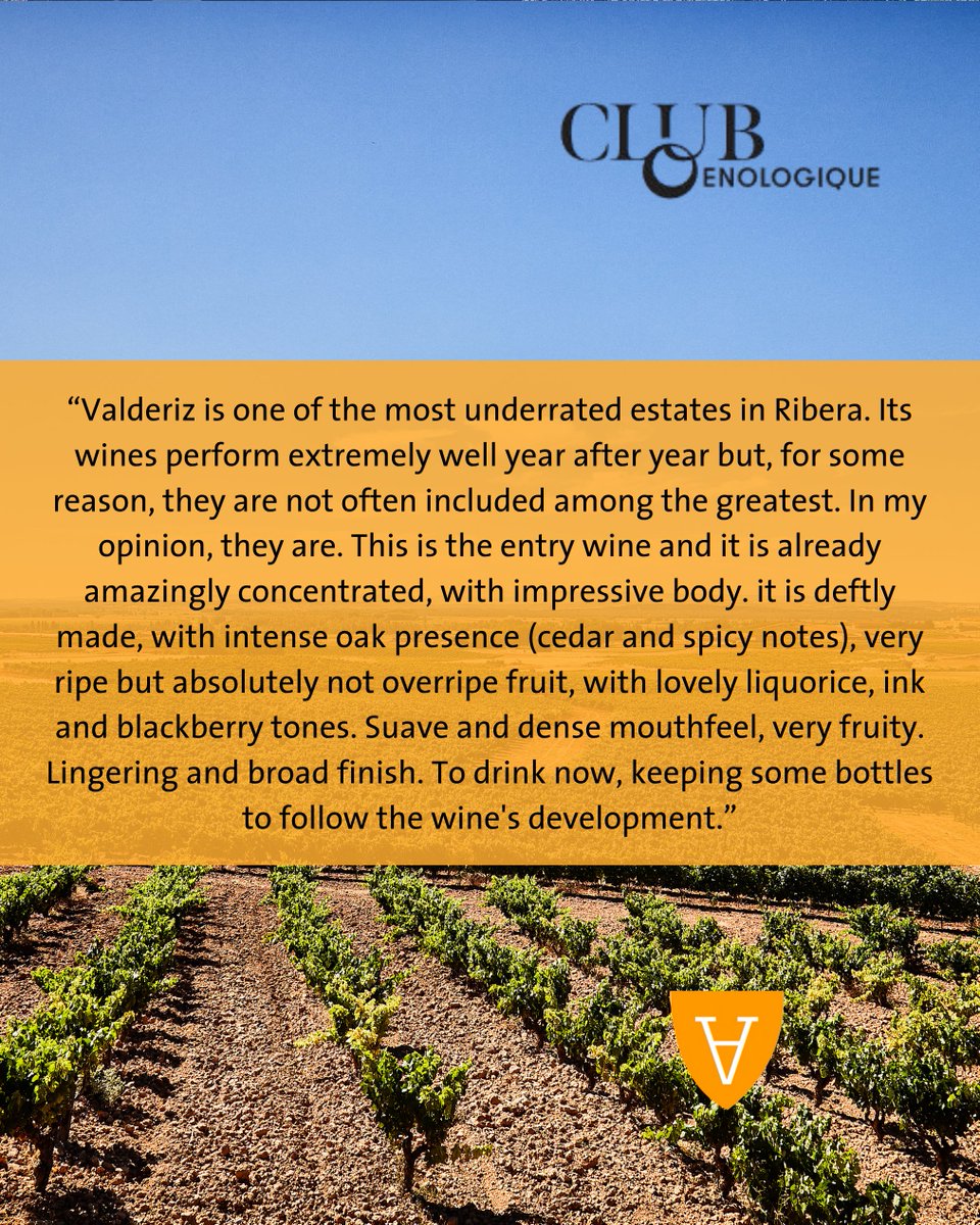 "The Ribera del Duero Report" por Pedro Ballesteros, Master of Wine. 

95 puntos para Juegabolos 2020 y 94 puntos para Valderiz 2021 🏅
