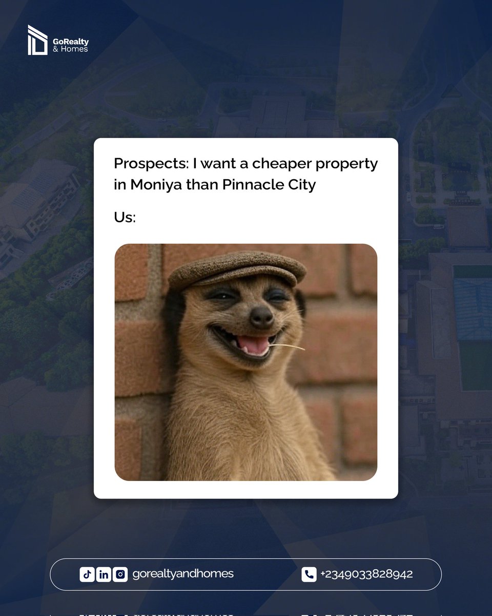 gorealtyandhome's tweet photo. Dear Prospects and Client, To whom it may concern #meercat #meme #gorealtyandhomes #RealEstate #realestateinvestment https://t.co/3zkUh2eC73