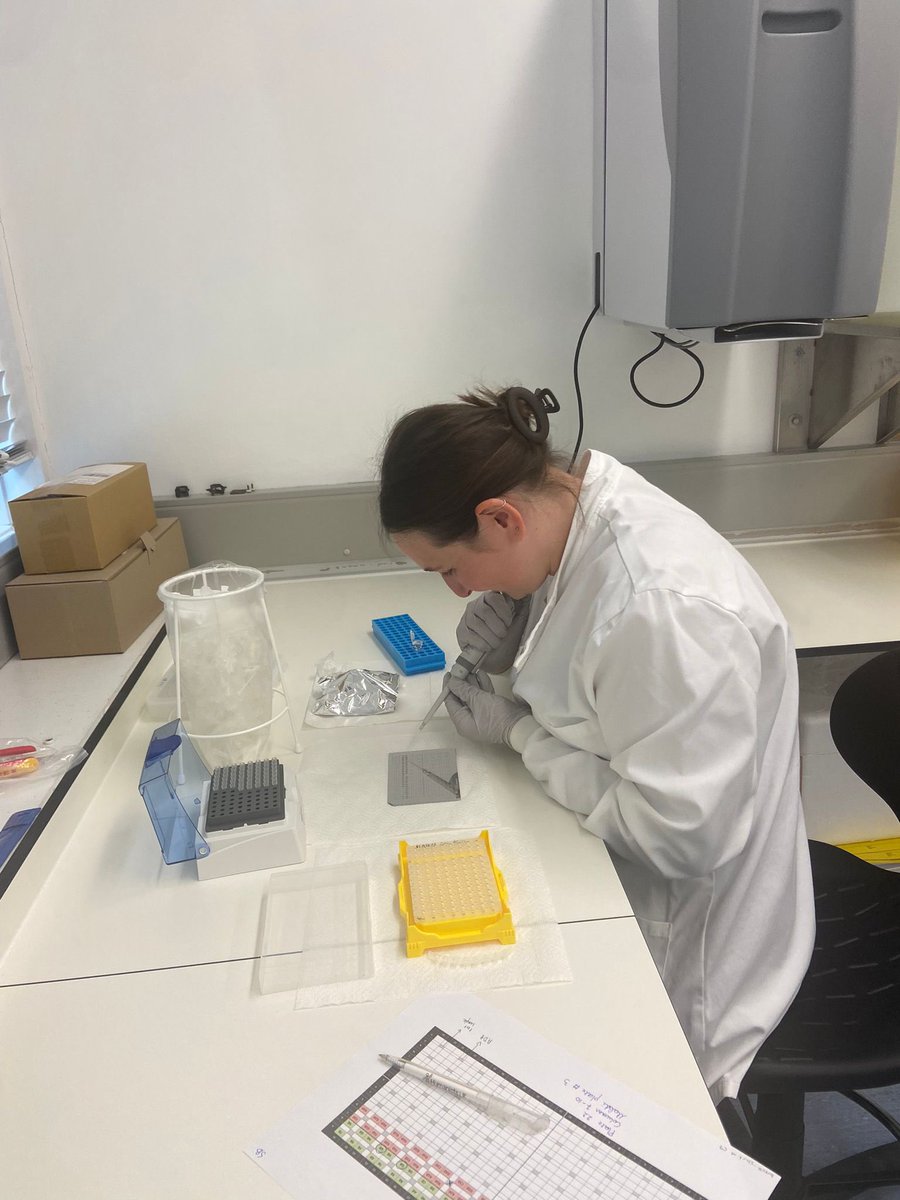 PrehistoricEdge's tweet image. Spotting her first MALDI plate! Thanks to @archaeoprotein for offering this wonderful training opportunity to @Sarah_Barakat_ and helping us develop our ZooMS capacity @UoA_Archaeology - and for running our first PALaEoScot samples with us! @ERC_Research @UKRI_News funded