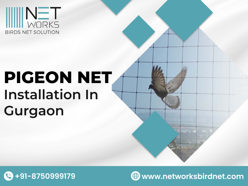 networksbirdnet's tweet image. Networks Bird Net offers durable, high-quality bird netting solutions to keep your balconies, windows, and open spaces safe . 
Call now for a pigeon net installation in Gurgaon!
Visit: posts.gle/qYgvgh
#PigeonNetGurgaon #BirdNetInstallation #GurgaonServices #BalconySafety