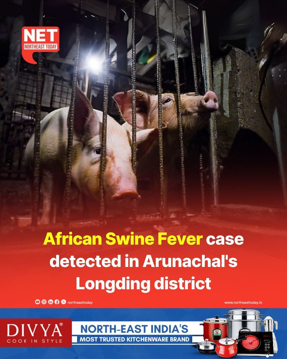 NortheastToday's tweet image. #ArunachalPradesh | A confirmed case of African Swine Fever (ASF) has been reported from Luaksim village in Longding district of Arunachal Pradesh.

Read more..
northeasttoday.in/northeast/arun…

#AfricanSwineFever #newcases #registered #Veterinary #LuaksimVillage #NortheastToday