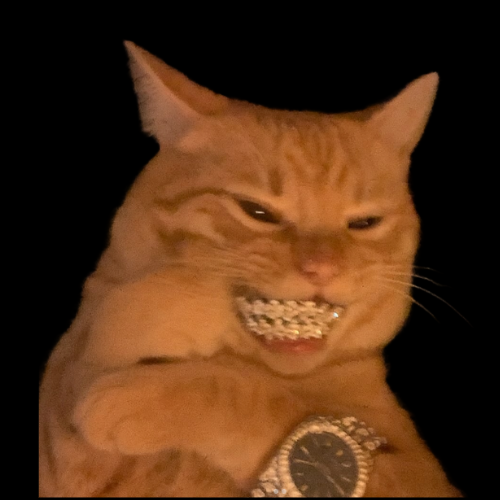 EVIL $PAT 

AmvkrQQhMbPoMCKC31knhSEEEadqyAaUCi5yWMVrpump