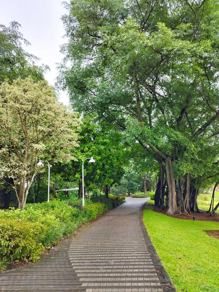 Seraphina_rea's tweet image. Be the energy you want to attract.🥰