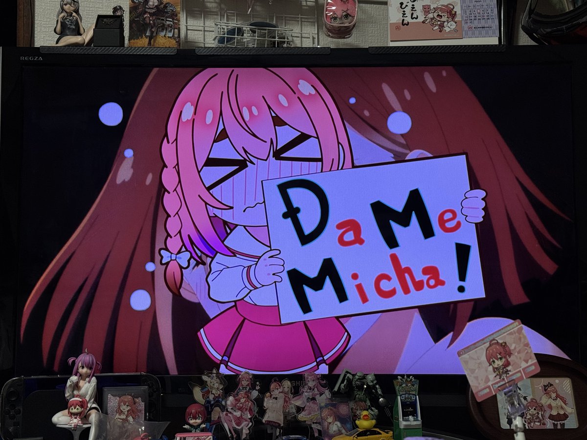 DaMeMicha! すみちゃんかわいい