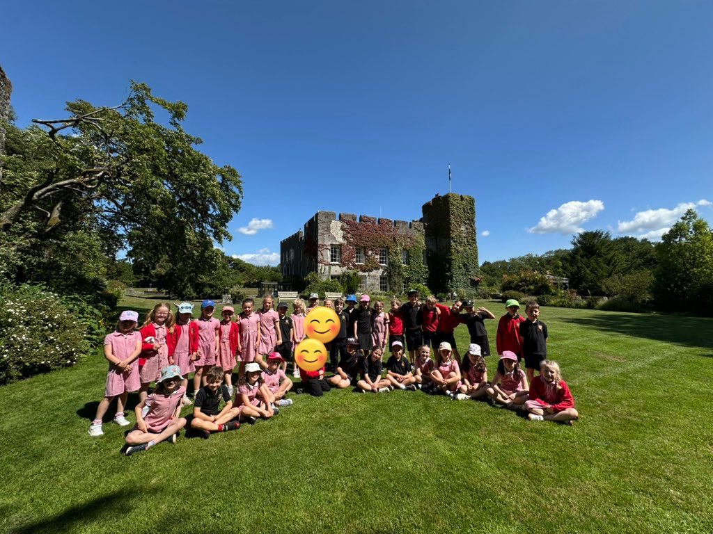 Cnocell y Coed tweet media