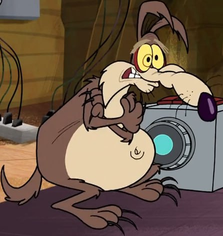 Happy fat Wile E Wednesday