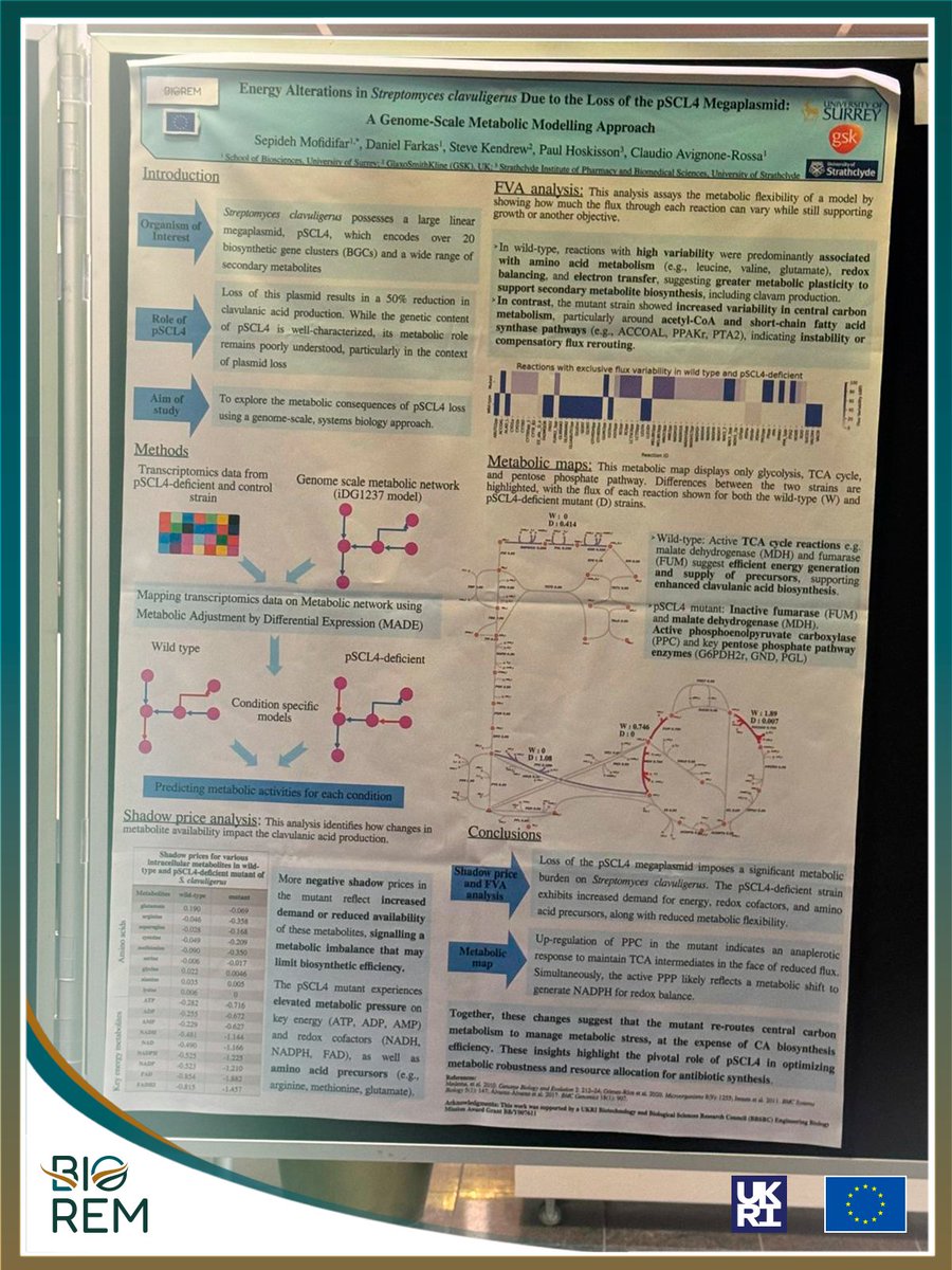 BIOREMproject (@bioremproject) on Twitter photo Proud to join the 20th Intโ Symposium on the Biology of Actinomycetes (#ISBA2025) in the Netherlands ๐ณ๐ฑ.
Sepide Mofidifar (<a href="/UniOfSurrey/">University of Surrey</a>) presented #BIOREM related work on Streptomyces metabolism using genome-scale modeling.
Inspiring connections! ๐ #SystemsBiology Proud to join the 20th Intโ Symposium on the Biology of Actinomycetes (#ISBA2025) in the Netherlands ๐ณ๐ฑ.
Sepide Mofidifar (<a href="/UniOfSurrey/">University of Surrey</a>) presented #BIOREM related work on Streptomyces metabolism using genome-scale modeling.
Inspiring connections! ๐ #SystemsBiology
