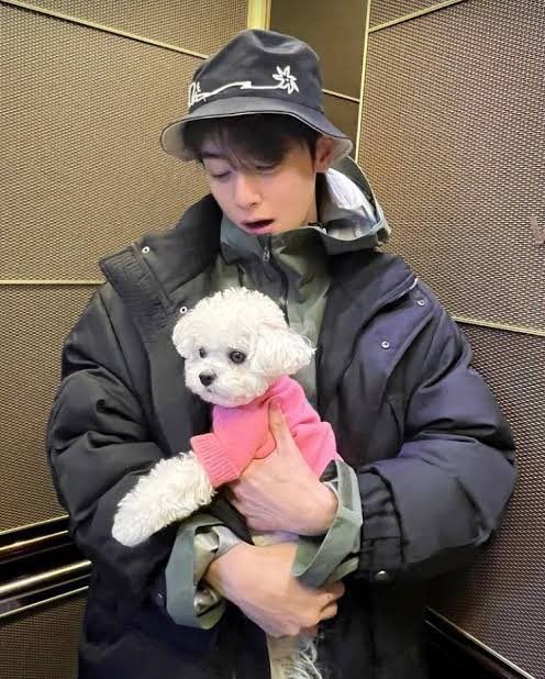 いったい前世で何をしたらドンドンイになれるのだろうか🥹🥹