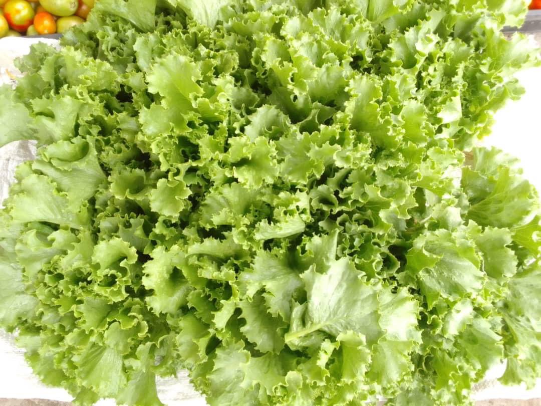 COMMUNIQUÉ : LE RÉSEAU NATIONAL DES FEMMES RURALES DE GUINÉE INVITE AU MARCHÉ DES FRUITS ET LÉGUMES LES 4, 5 et 6 JUILLET 2025 À LA STATION DE LA BELLEVUE À CONAKRY.
DES PRODUITS FRAIS DE NOS BRAVES FEMMES Y SERONT EXPOSÉS.
radioenvironementguinee.org/archives/9302
@femmes