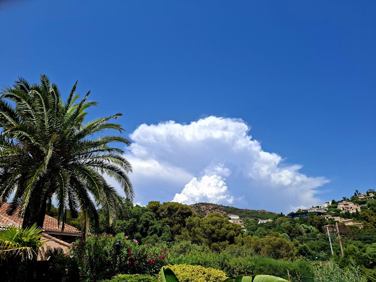 Weiterhin ein paar kräftige Zellen hier mit ausreichend Sicherheitsabstand.