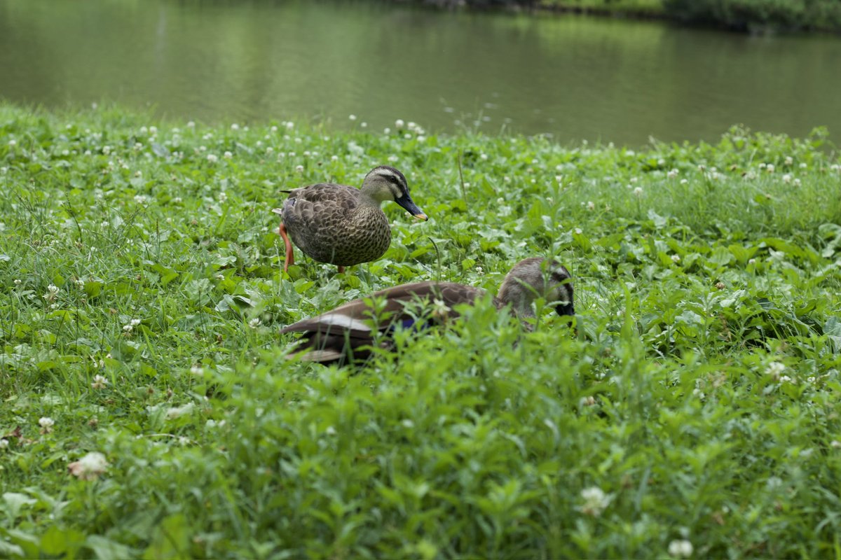 自然を感じてきました！😆