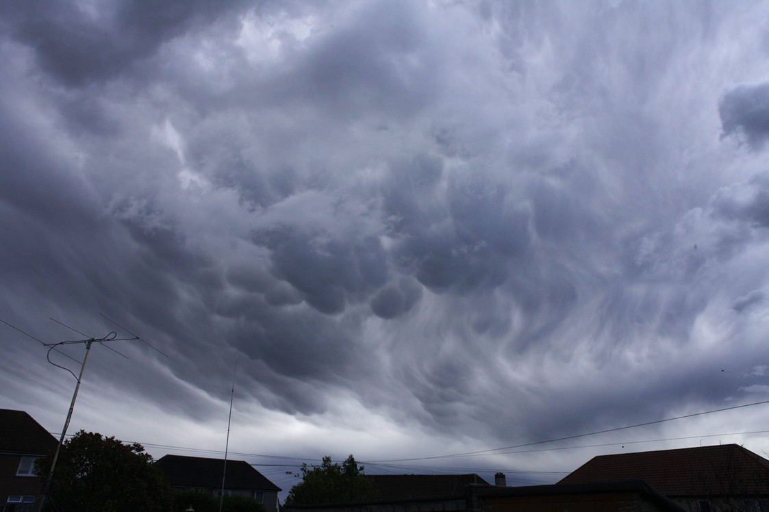 Bill Ward tweet media